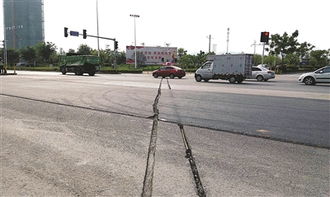 新柳大道惊现“伤痕” 未办证擅自开挖，施工方遭查处